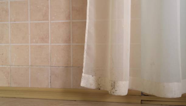 Best Environmental Consulting for Mold Prevention  in Ripon, CA