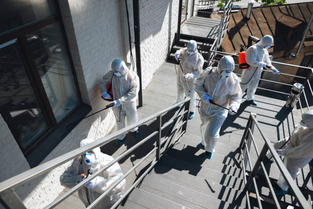 Best Airborne Mold Testing  in Ripon, CA