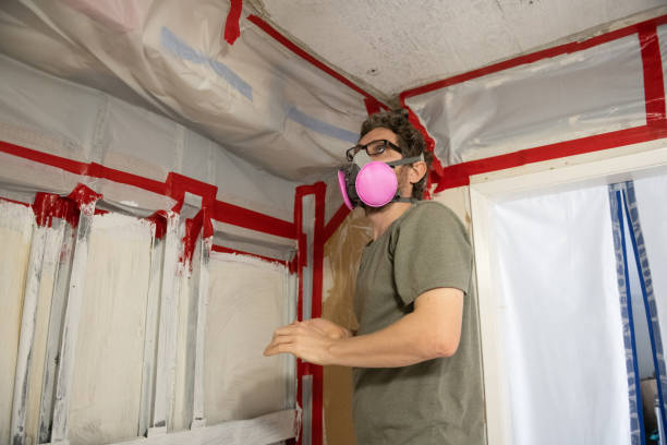 Best Mold Removal for HVAC Installations  in Ripon, CA