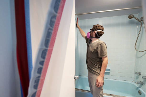Best Mold Odor Removal Services  in Ripon, CA