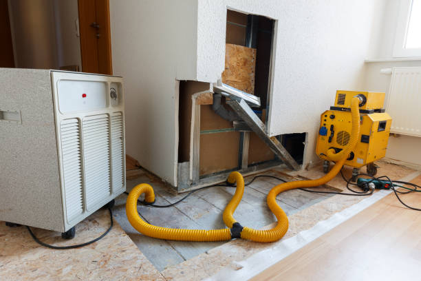 Best Mold Odor Removal Services  in Ripon, CA