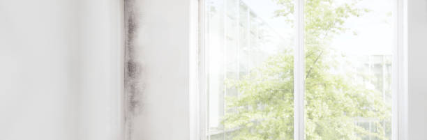 Best Air Quality Testing for Mold Spores  in Ripon, CA
