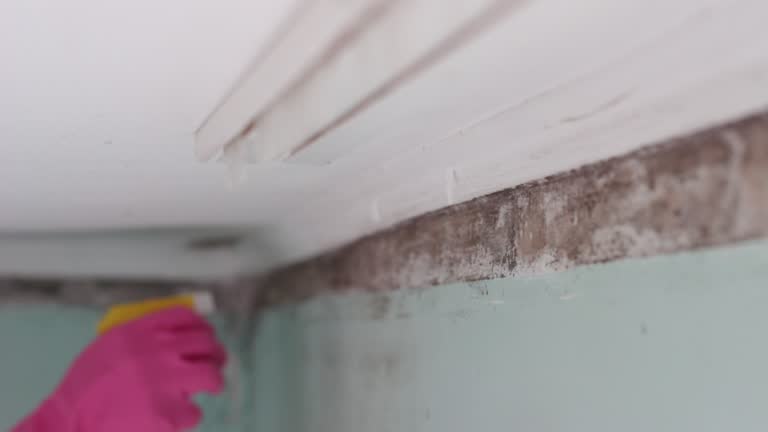Best HVAC Mold Inspection and Cleaning  in Ripon, CA